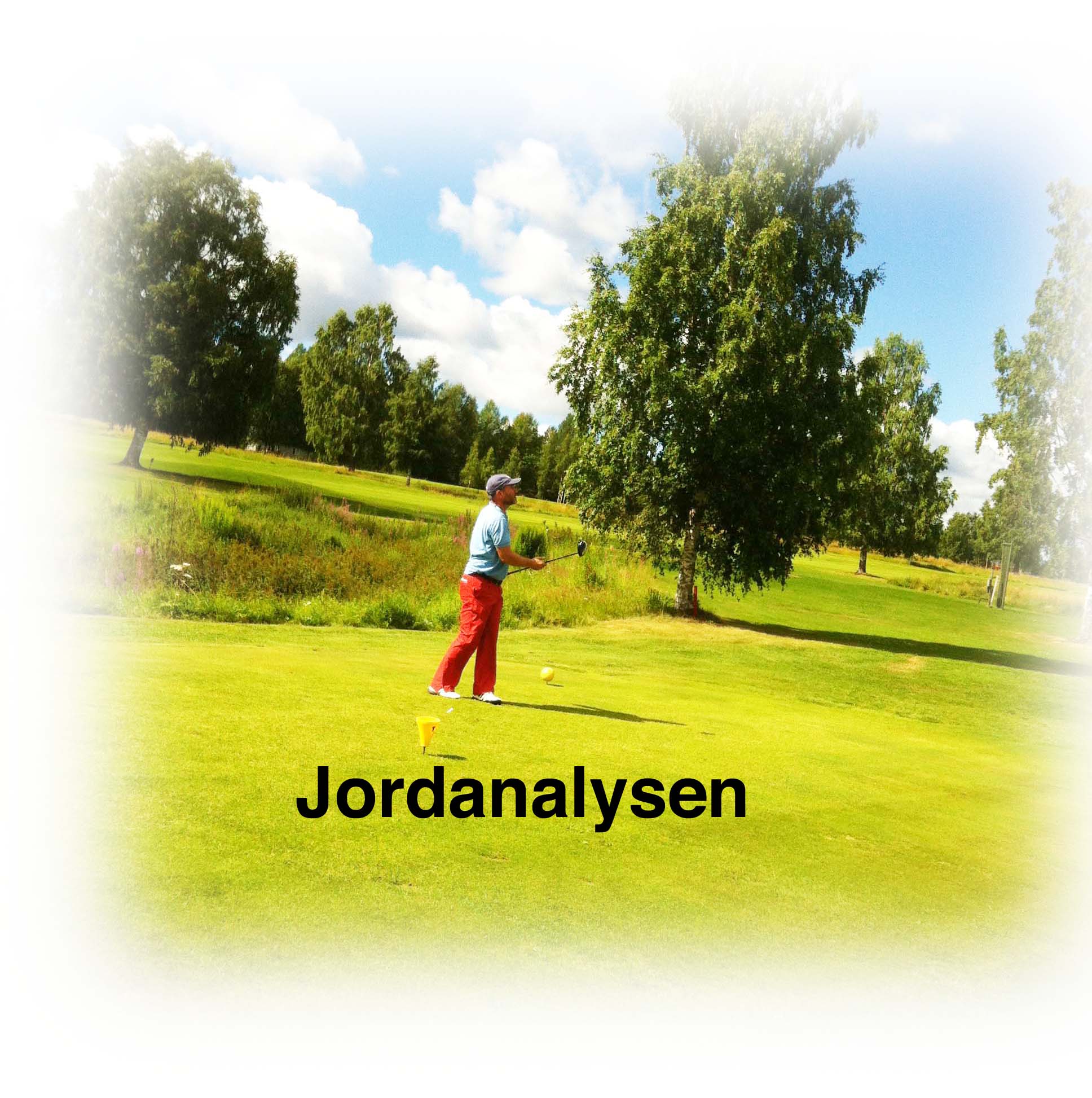 Grönyteleverantörerna löv och lerduvekross lövätaren sopar upp